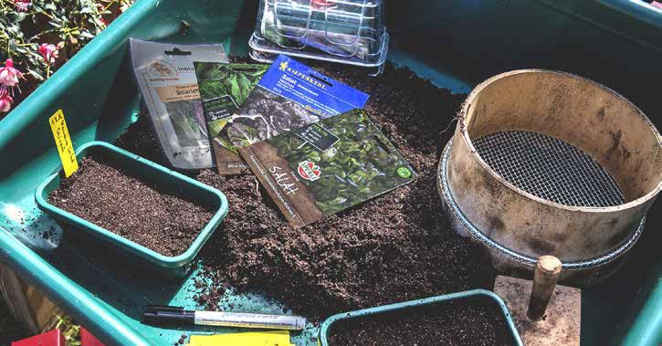 Greenhouse vegetable varieties